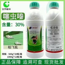 推荐30%噻虫嗪悬浮剂水稻稻飞虱触杀胃毒内吸专用杀虫剂