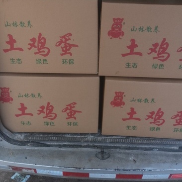 正宗山林散养土鸡蛋