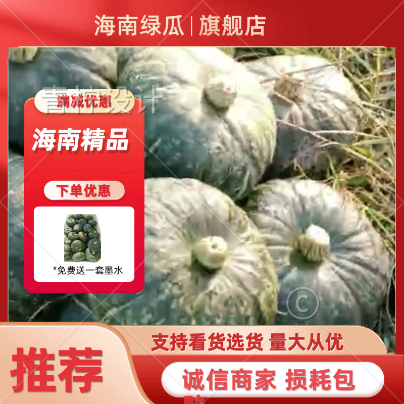 海南板栗南瓜，绿瓜个头大颜色漂亮，发种回收价格优惠保质量