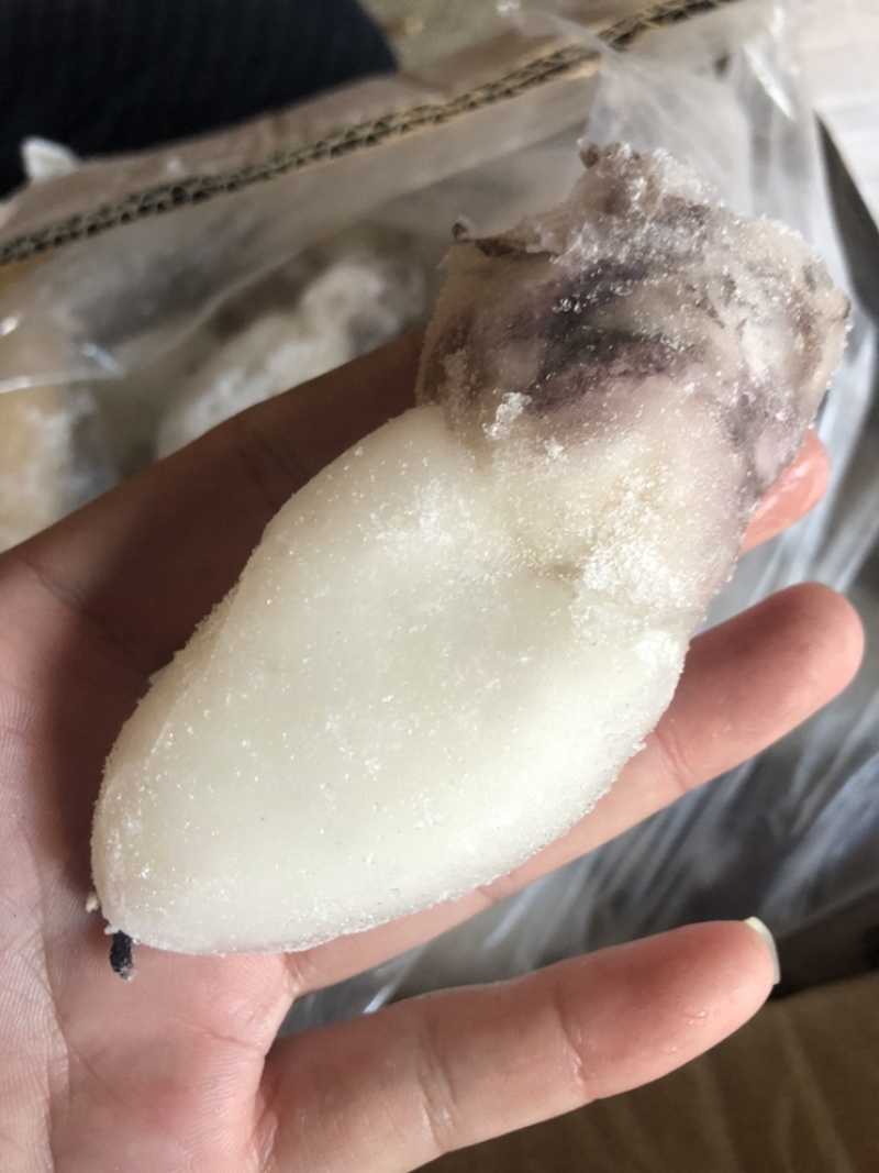 一手货墨鱼仔薄冰价格优惠欢迎咨询，诚信经营