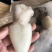一手货墨鱼仔薄冰价格优惠欢迎咨询，诚信经营