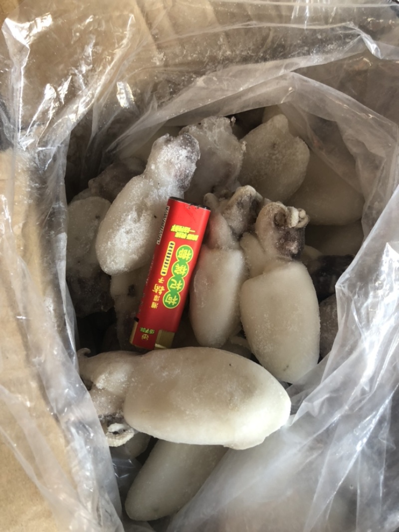 一手货墨鱼仔薄冰价格优惠欢迎咨询，诚信经营