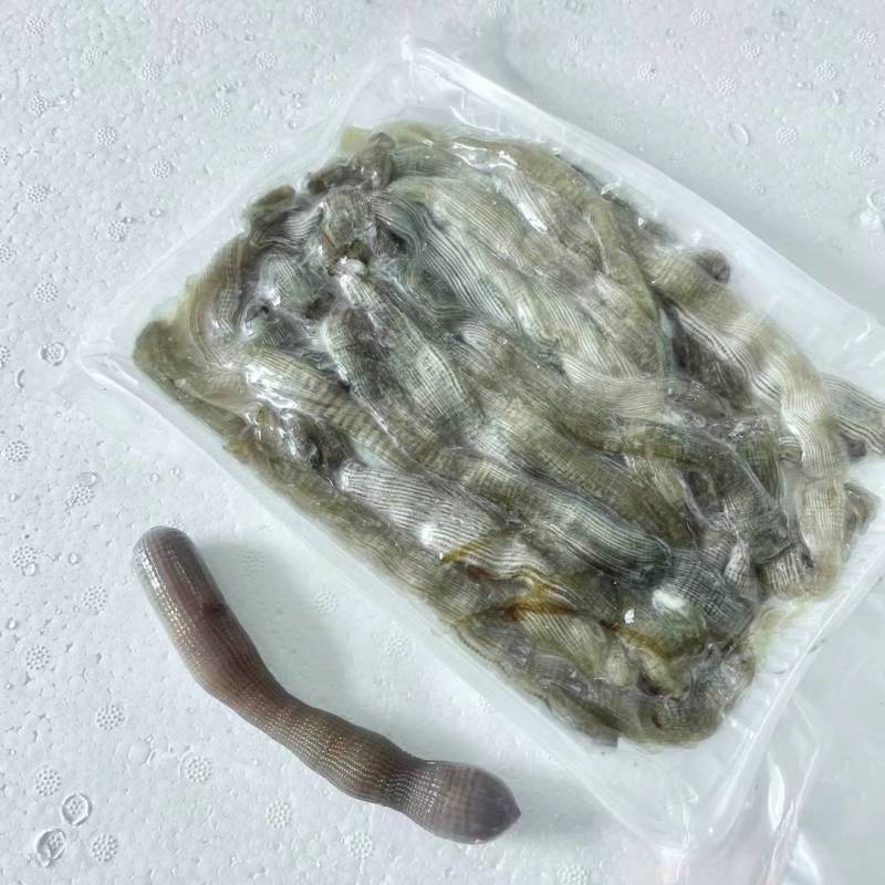沙虫肉，沙虫皮，土沙虫，沙虫，沙里钻