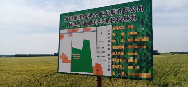 膳粮膳果石磨面粉制作的面食筋道、柔韧、麦香浓郁，原色原味