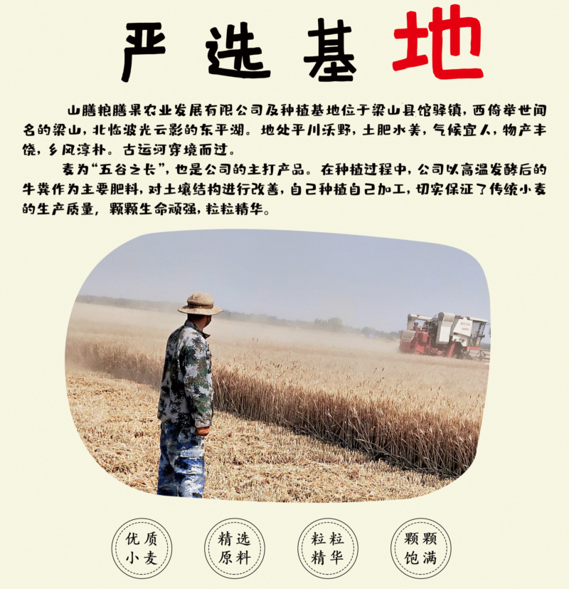 膳粮膳果石磨面粉制作的面食筋道、柔韧、麦香浓郁，原色原味