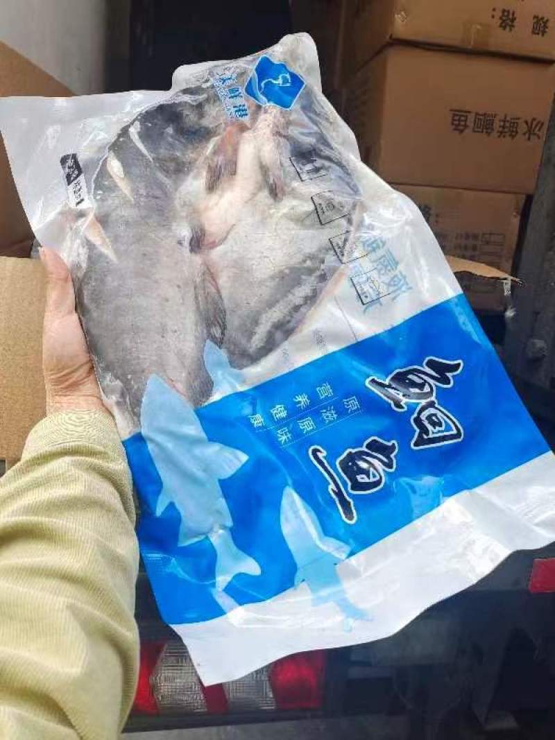 鮰鱼，开背鱼，开背鮰鱼