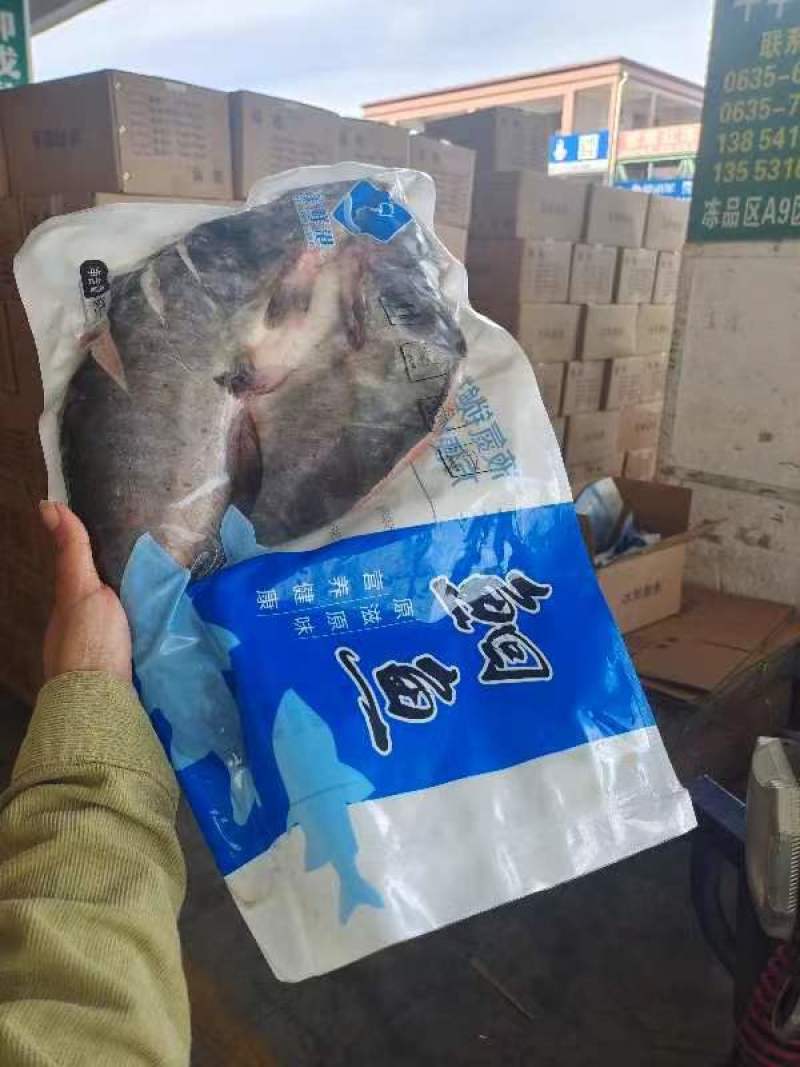 鮰鱼，开背鱼，开背鮰鱼