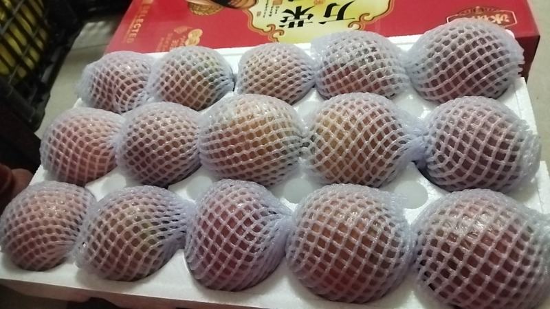 纸加膜红富苹果
