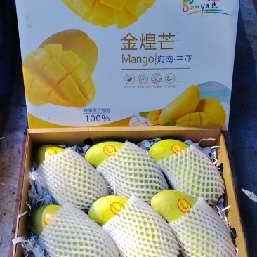 海南三亚产地直供一级精品金煌芒电商微商**一件代发顺丰