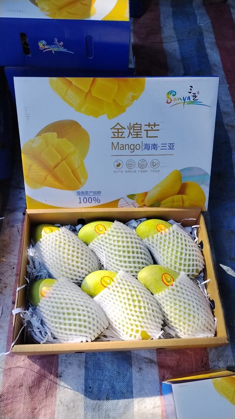 海南三亚产地直供一级精品金煌芒电商微商**一件代发顺丰