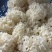 上海基地直销绣球菌