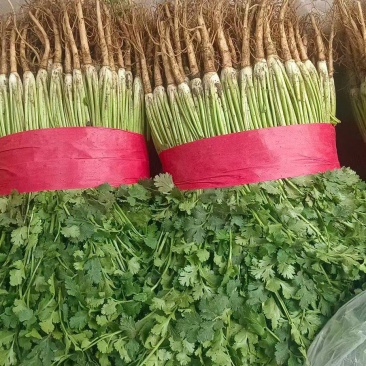 铁杆青香菜聊城香菜承接商超电商社团配货代收代发全国