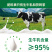 38元/盒新疆奶茶粉独立包装12盒起发货,营养提神健康。