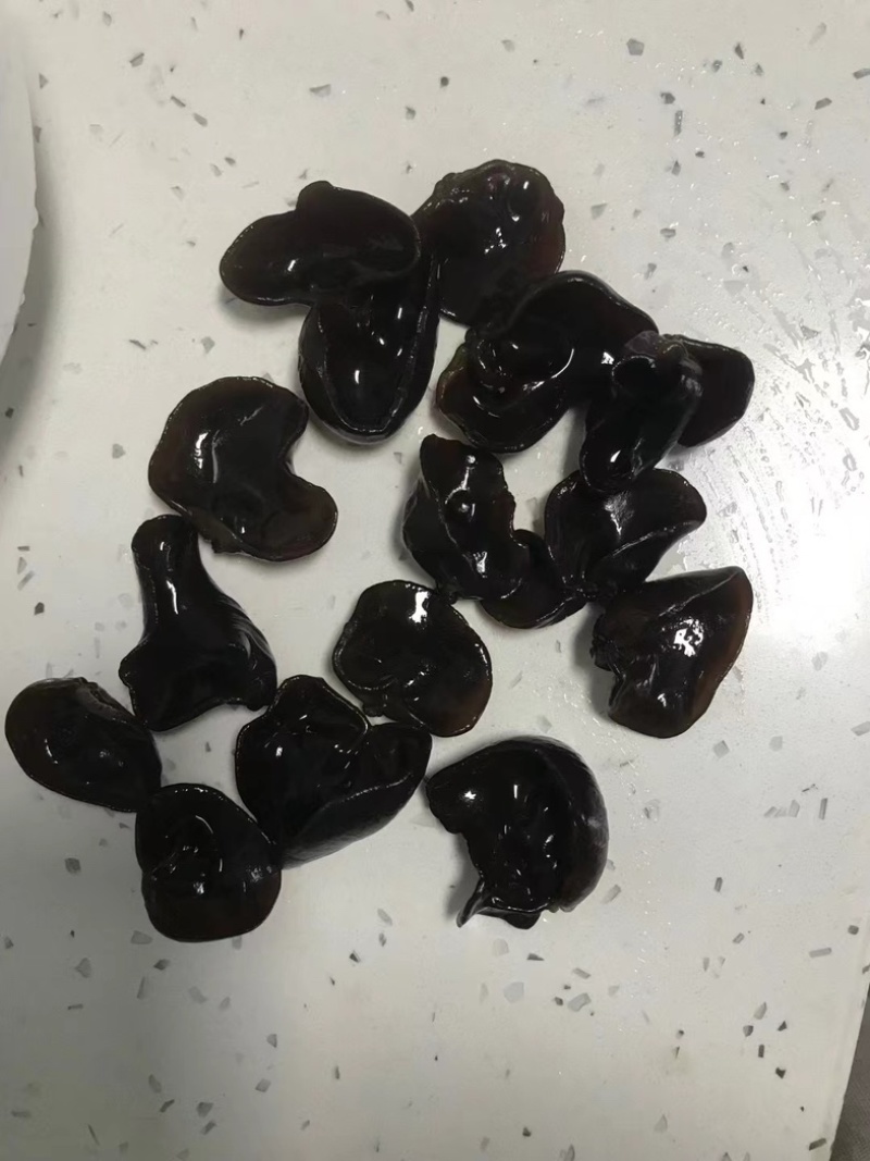黑龙江产地直供优质黑木耳，免摘，口感润滑