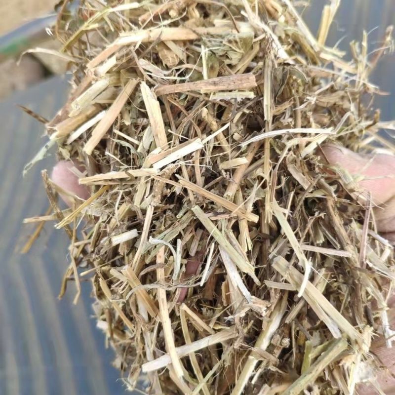 长年批发花生秧粉，花生秧叶粉质量保证产地直发欢迎咨询