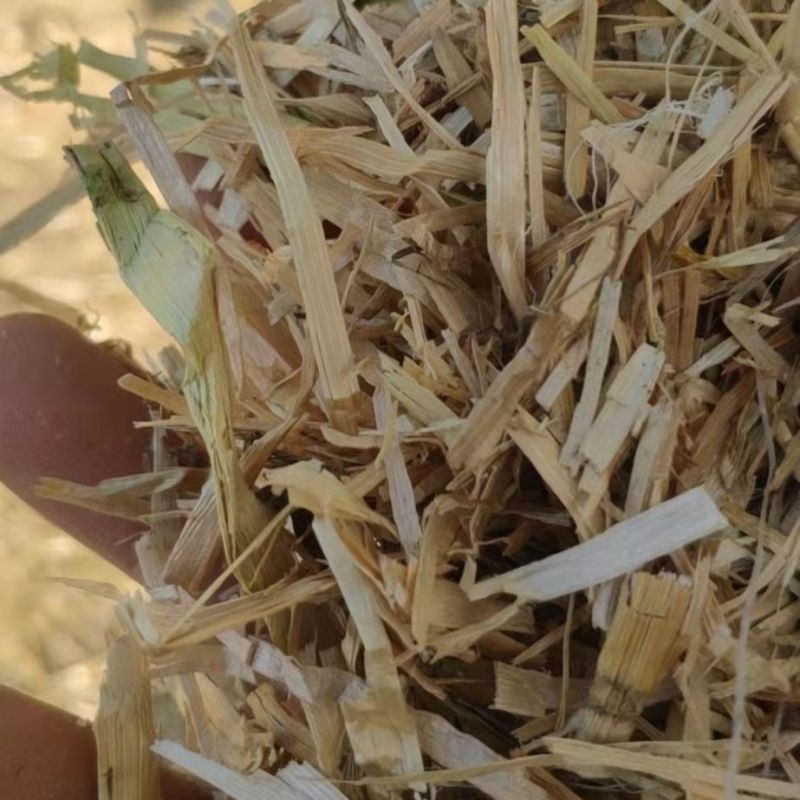 长年批发花生秧粉，花生秧叶粉质量保证产地直发欢迎咨询