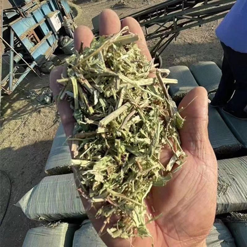 长年批发花生秧粉，花生秧叶粉质量保证产地直发欢迎咨询