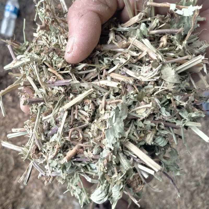 长年批发花生秧粉，花生秧叶粉质量保证产地直发欢迎咨询