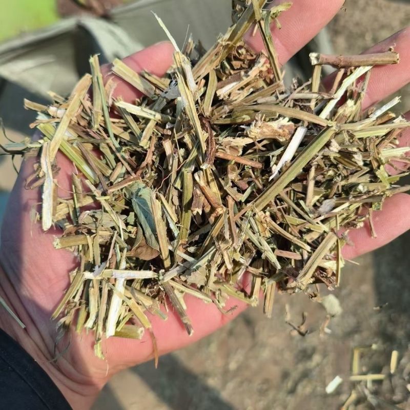 长年批发花生秧粉，花生秧叶粉质量保证产地直发欢迎咨询