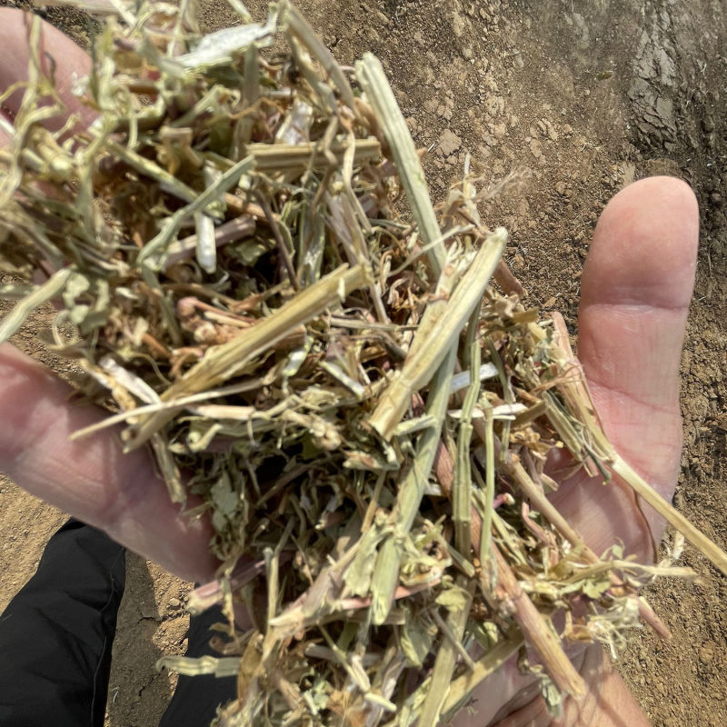 长年批发花生秧粉，花生秧叶粉质量保证产地直发欢迎咨询