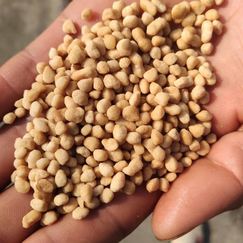 酵母氮肥复合氮肥含尿素氮小麦玉米返青追施肥
