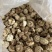 包邮精选4-5厘米天白花菇2025新花菇
