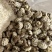 包邮精选4-5厘米天白花菇2025新花菇