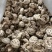 包邮精选4-5厘米天白花菇2025新花菇