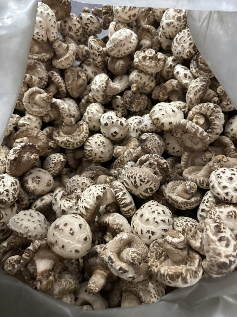 包邮精选4-5厘米天白花菇2025新花菇