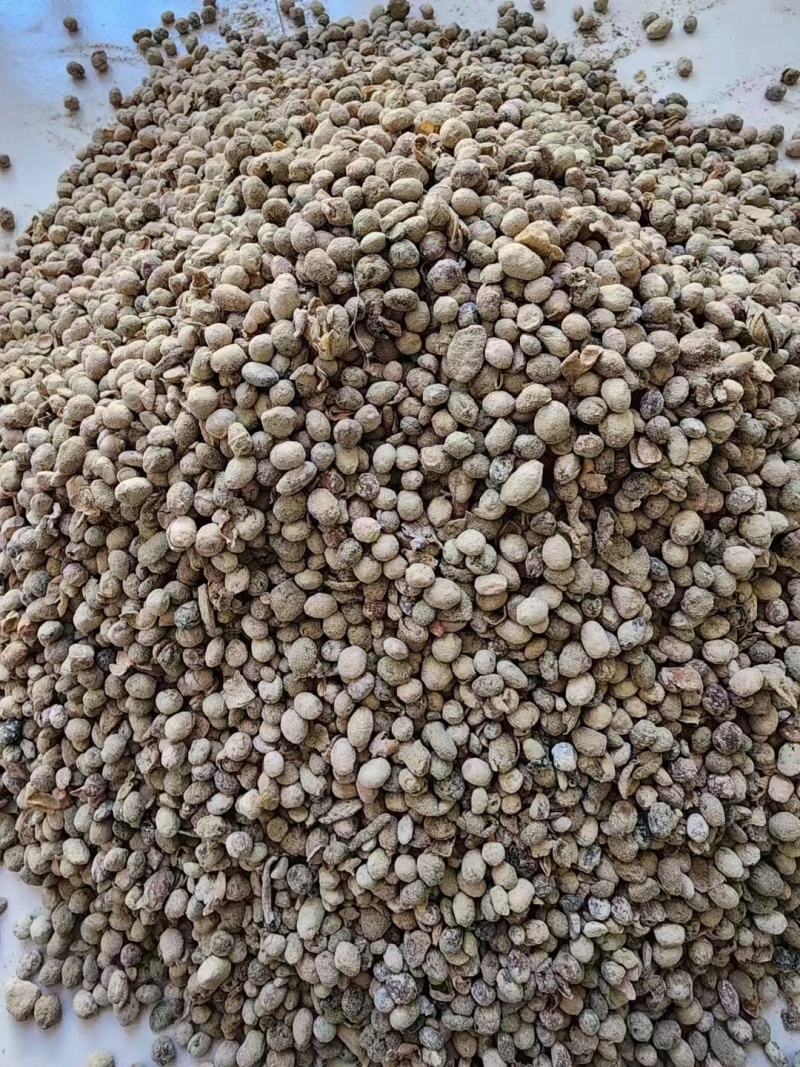 生物菌发酵大豆肥