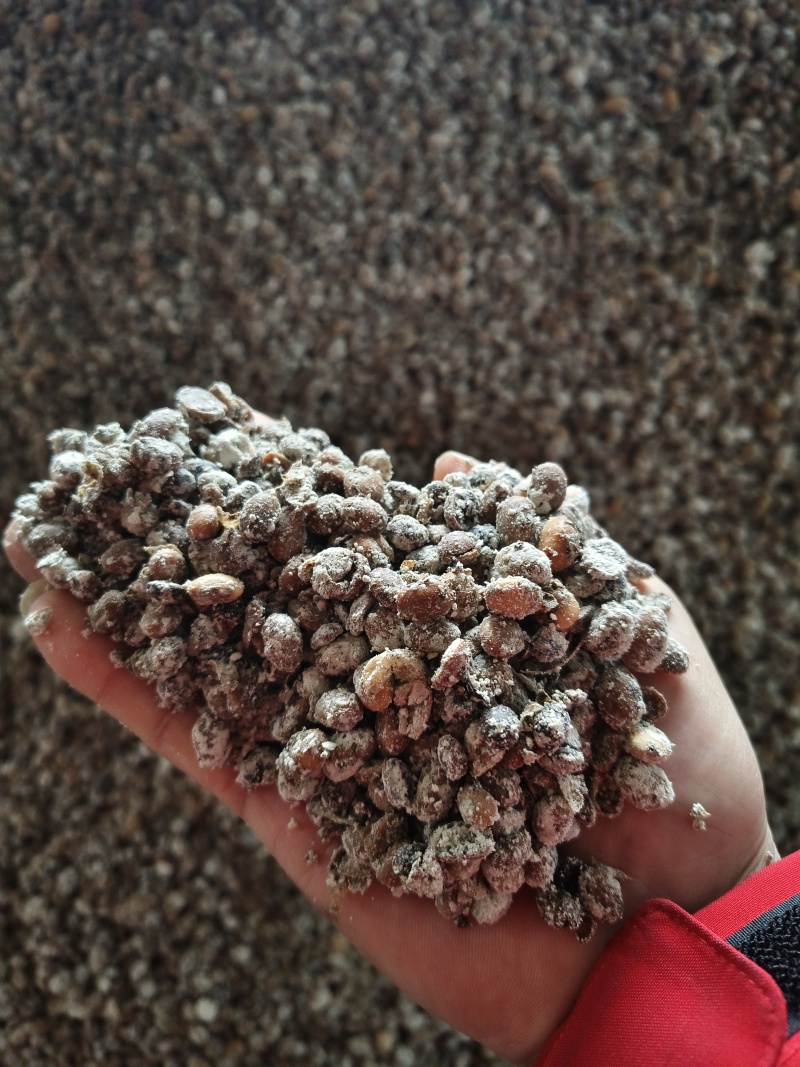 生物菌发酵大豆肥