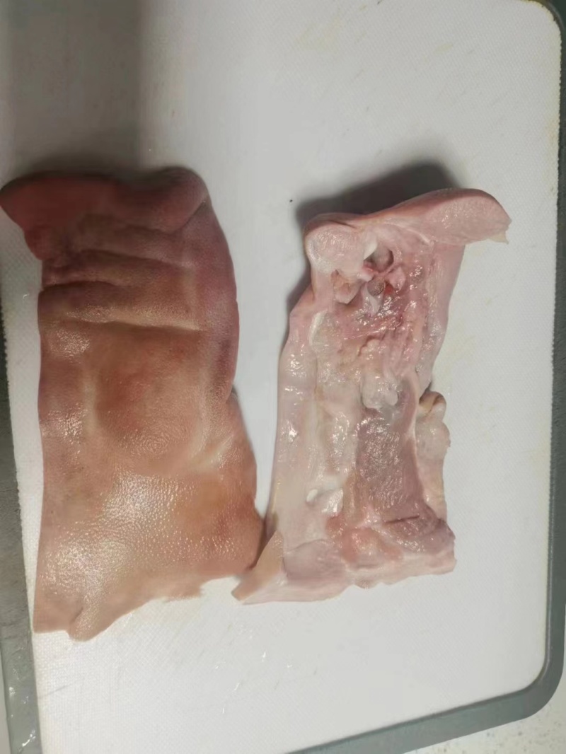 肥猪鼻子半鼻全鼻拱嘴新货手续齐全厂家直发量大价优