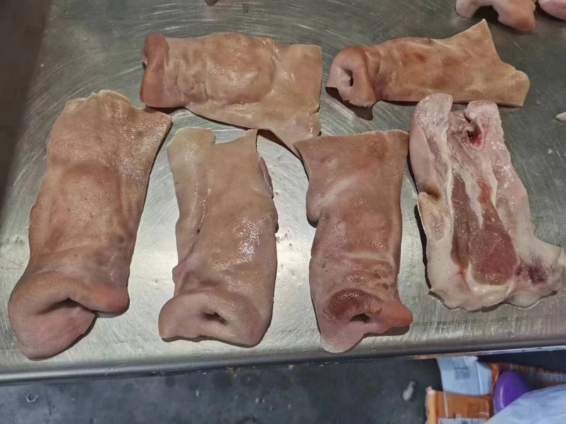 肥猪鼻子半鼻全鼻拱嘴新货手续齐全厂家直发量大价优