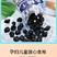 春节不打烊长白山特产野生蓝莓干果农副产品