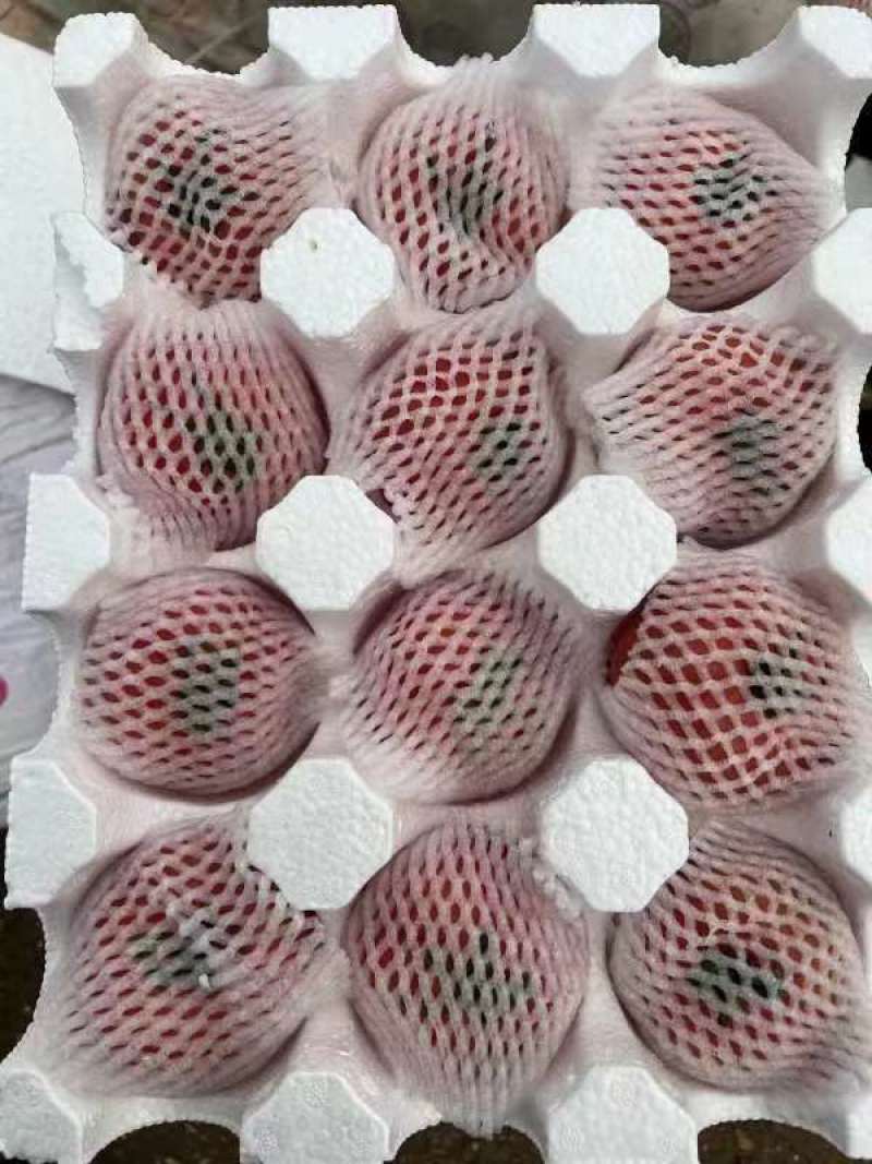 普罗旺斯西红柿口感一件代发番茄好吃爆汁沙瓤团购露天批发