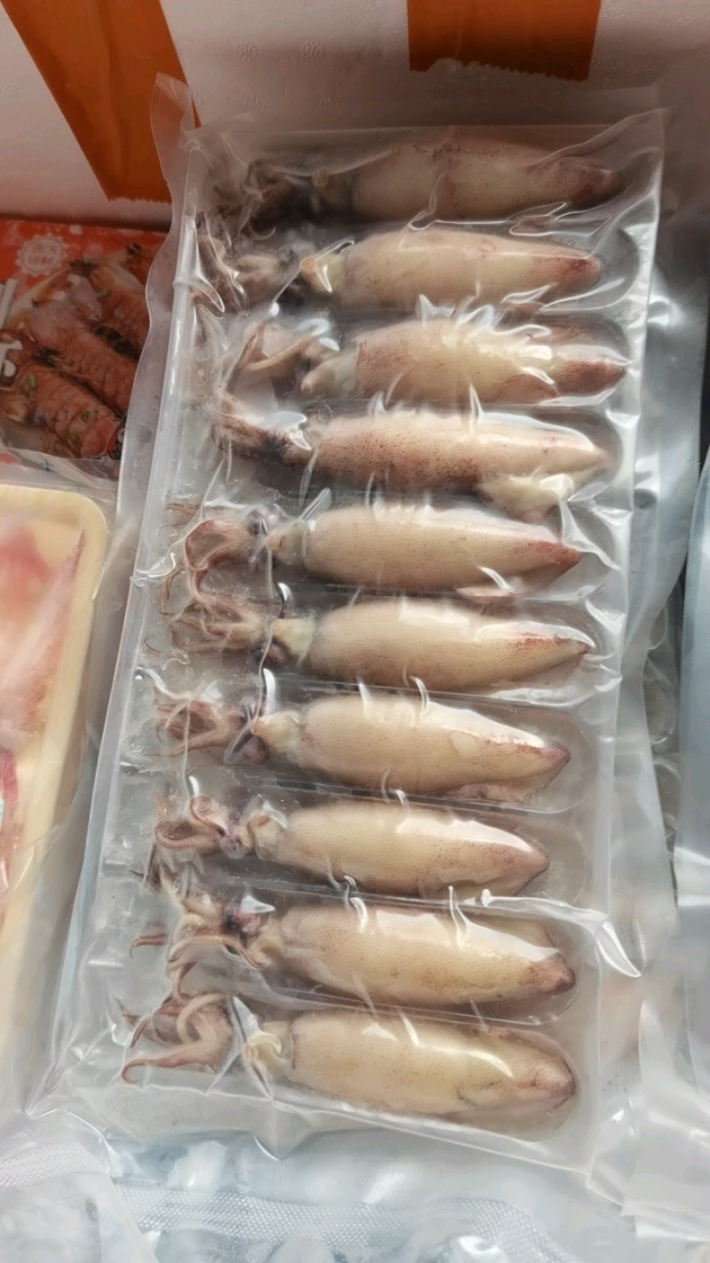 海兔，全籽海兔，10头，饭店捞汁小海鲜，即食优质海兔