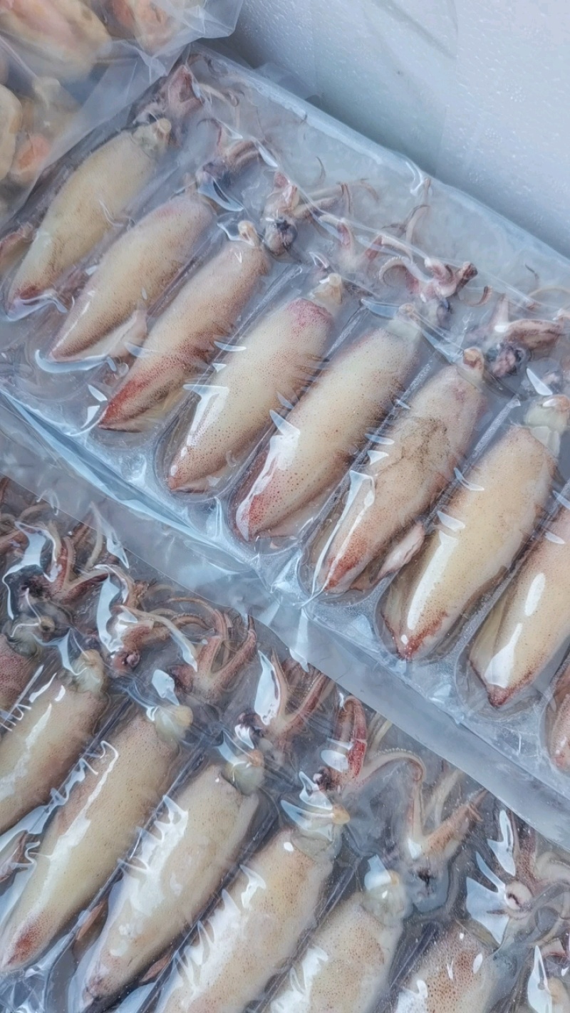 海兔，全籽海兔，10头，饭店捞汁小海鲜，即食优质海兔
