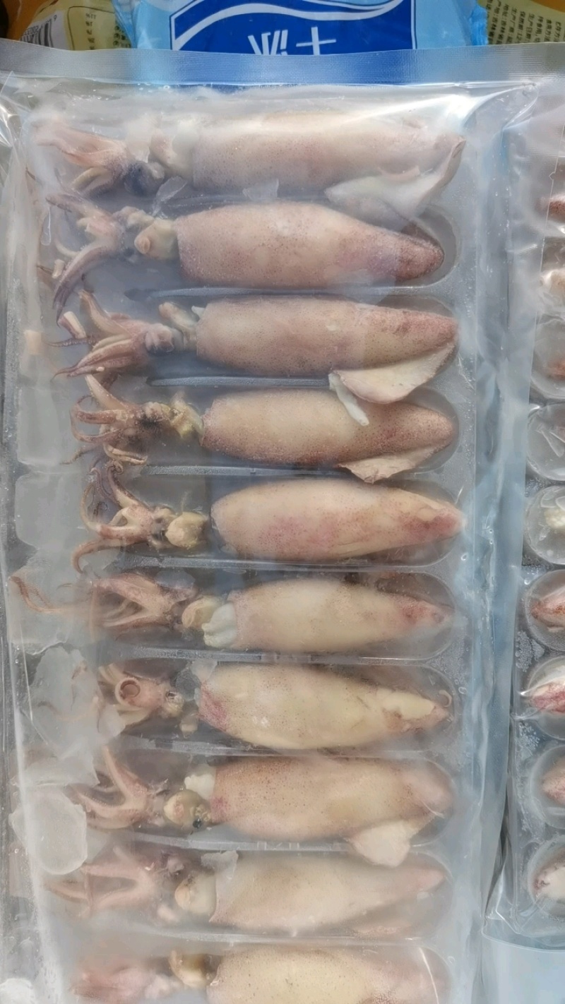 海兔，全籽海兔，10头，饭店捞汁小海鲜，即食优质海兔