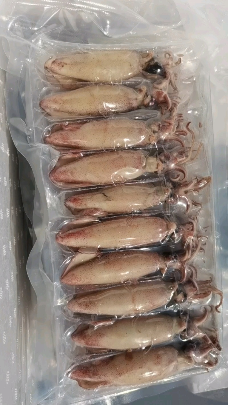 海兔，全籽海兔，10头，饭店捞汁小海鲜，即食优质海兔