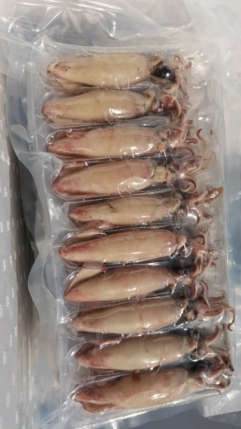 海兔，全籽海兔，10头，饭店捞汁小海鲜，即食优质海兔