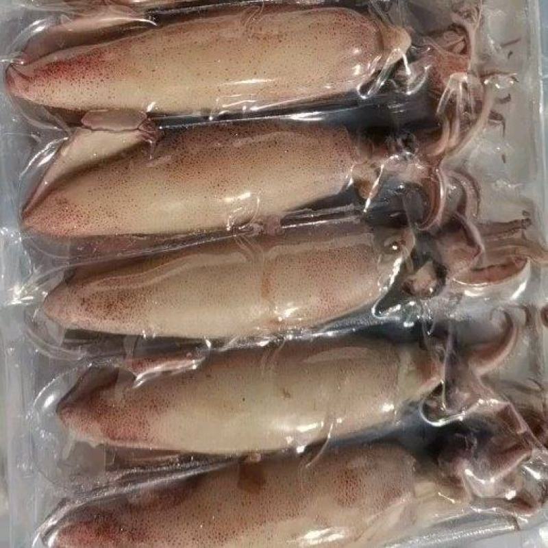 海兔，全籽海兔，10头，饭店捞汁小海鲜，即食优质海兔