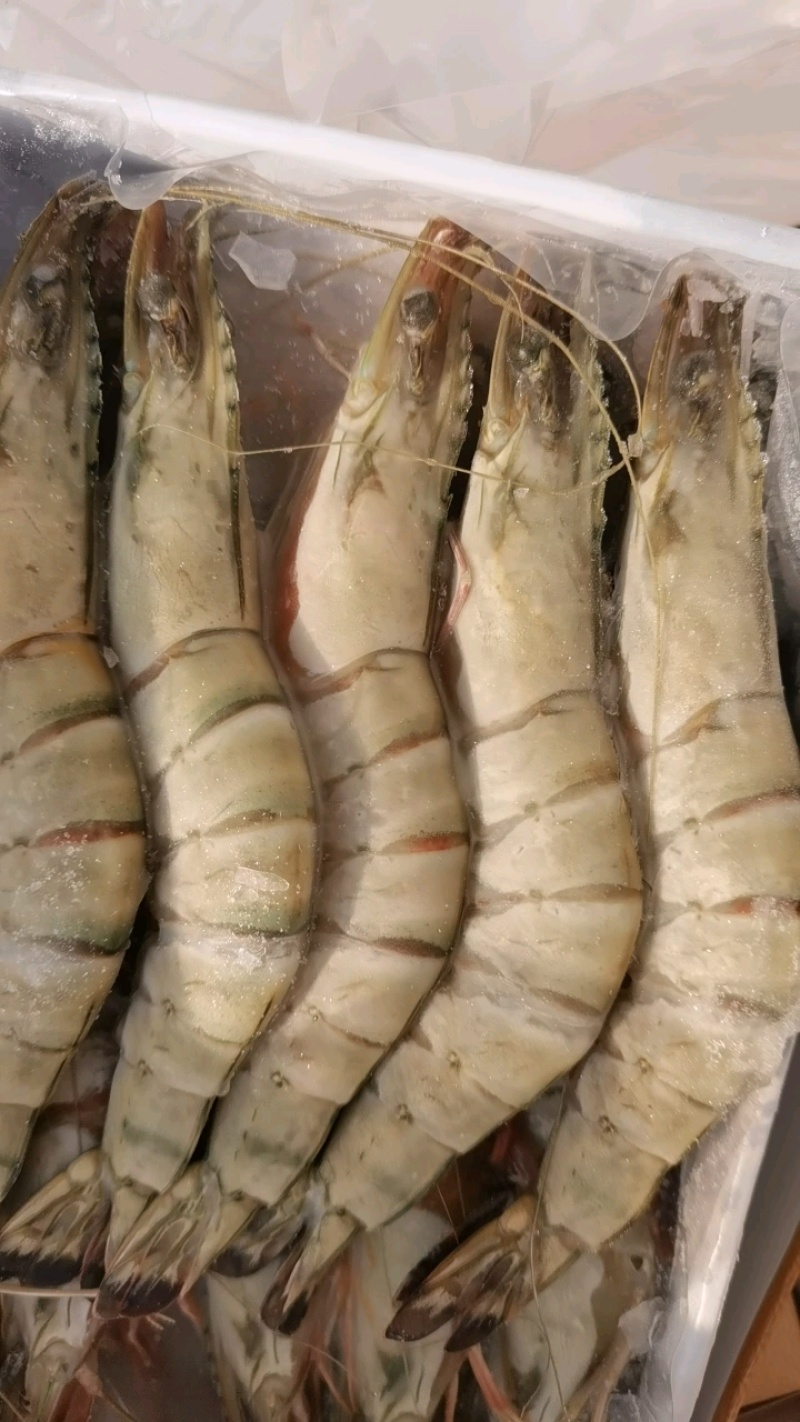 黑虎虾，饭店，捞汁小海鲜