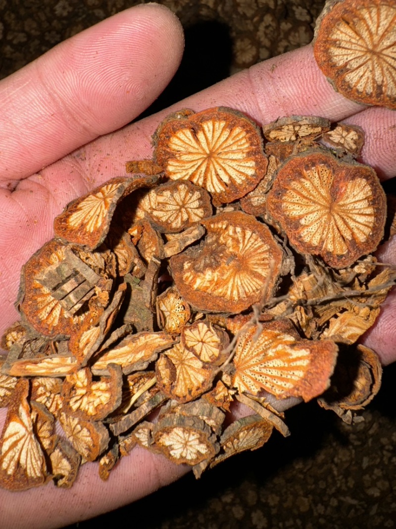 红藤干片