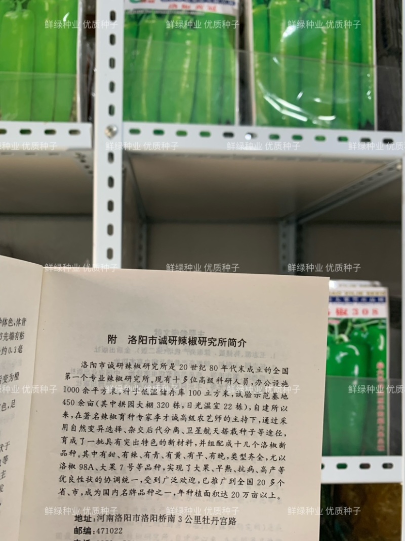诚研辣椒研究所出品（洛椒高产高效栽培）图文并茂一学就会