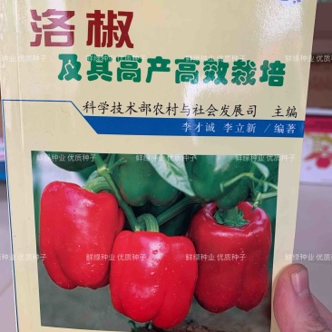 诚研辣椒研究所出品（洛椒高产高效栽培）图文并茂一学就会