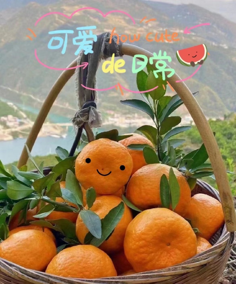 【推荐】椪柑芦柑无籽化渣纯甜无酸果园直采