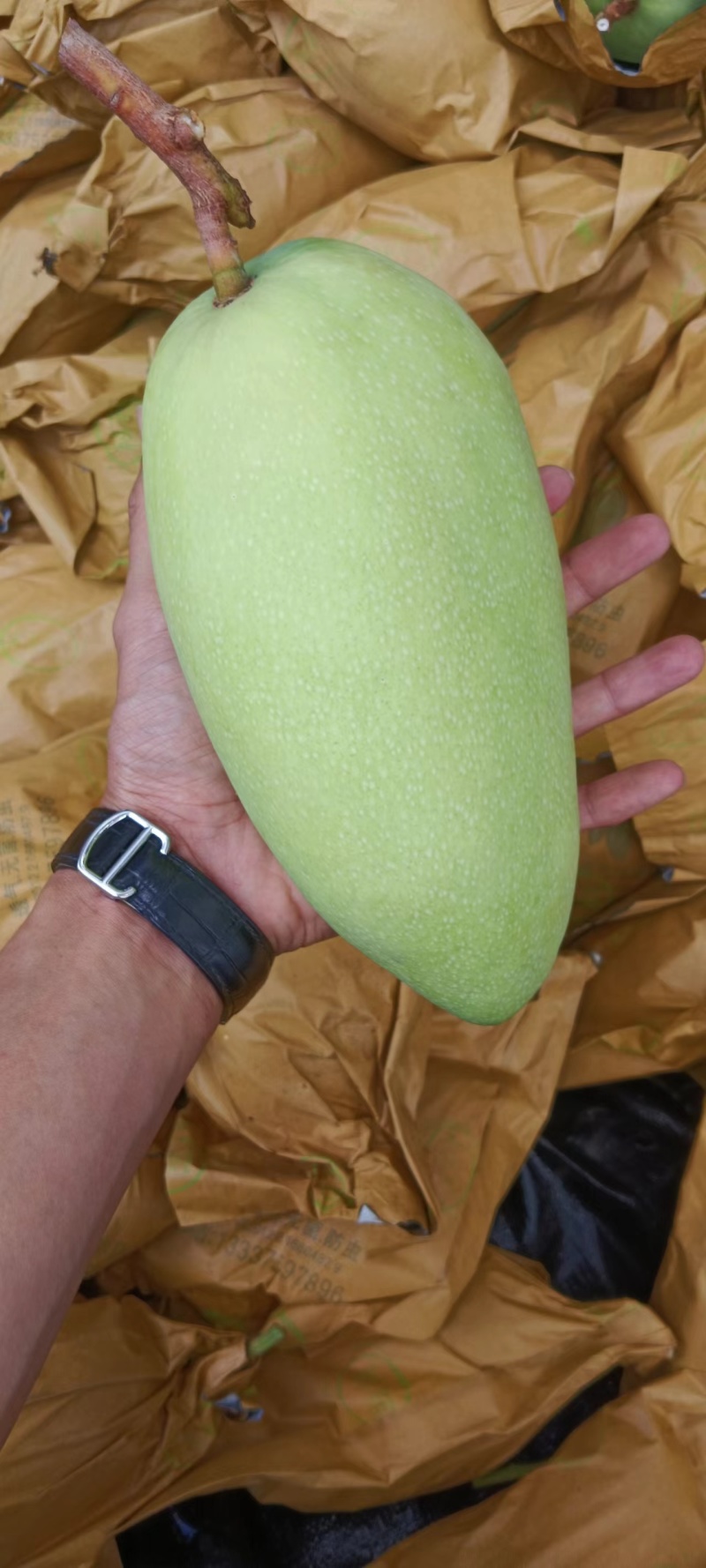 海南金煌芒一件代发早果一级果包邮顺丰净果8斤10斤礼盒装