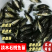 淡水石斑鱼苗珍珠老虎石斑鱼苗花斑鱼苗出售养殖技术指导