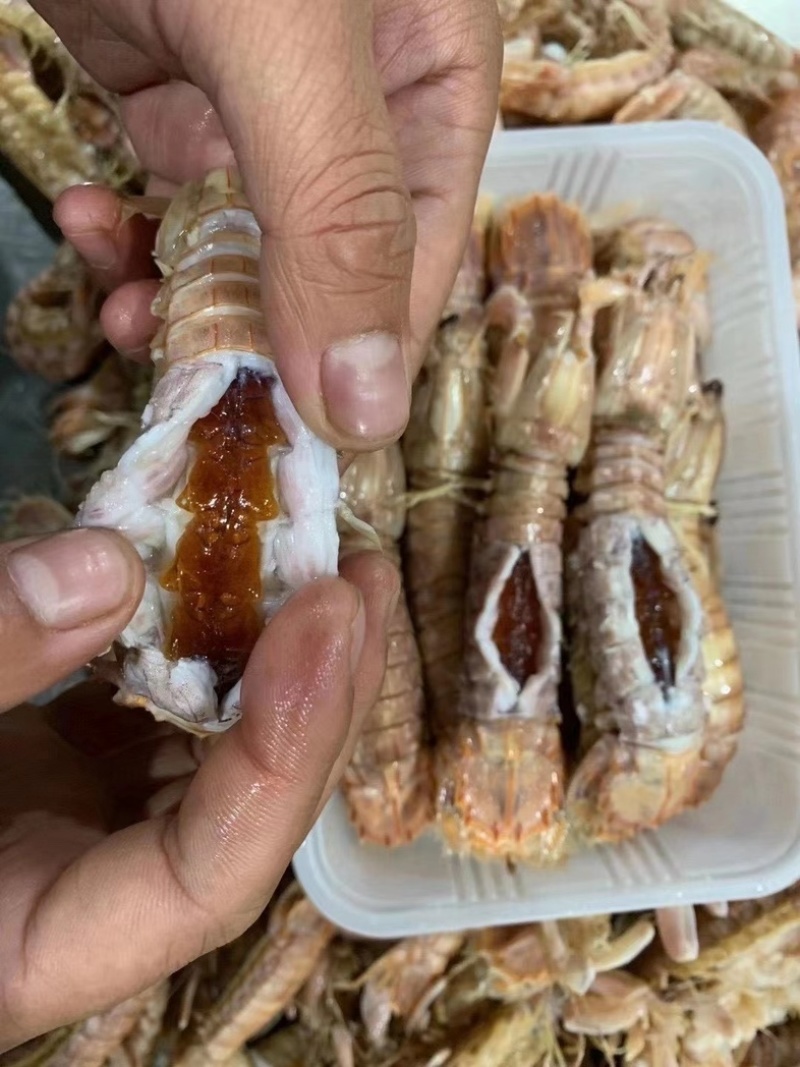 皮皮虾虾爬子带膏皮皮虾虾姑虾婆江苏水产基地直发