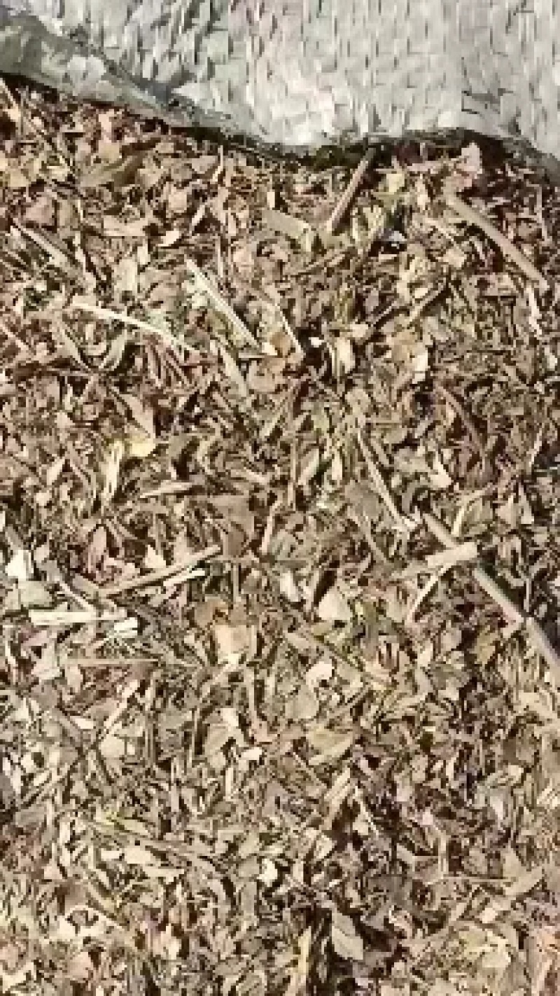 花生秧叶粉现大量有货货源充足产地直发欢迎咨询